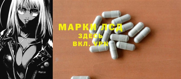 гашик Алексин