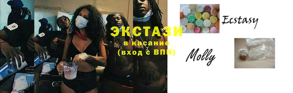 гашик Алексин