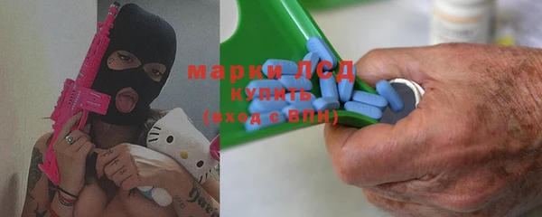 гашик Алексин