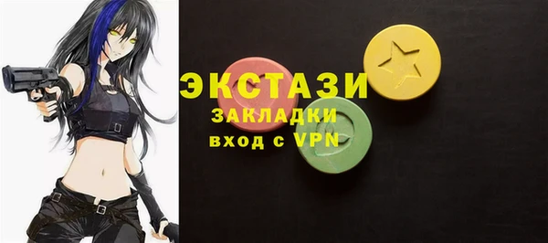 гашик Алексин