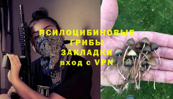 гашик Алексин