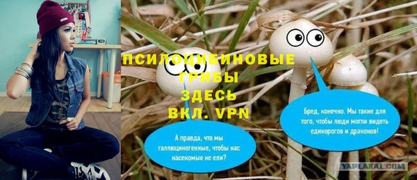 гашик Алексин
