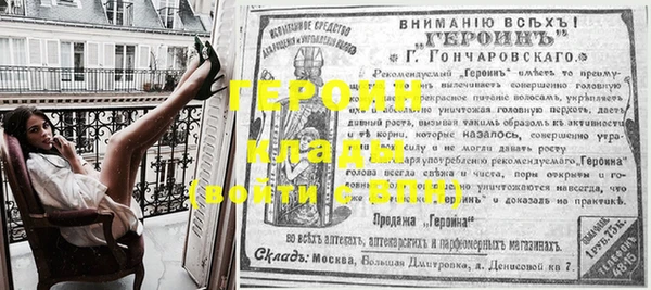 гашик Алексин