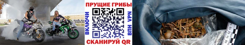 Галлюциногенные грибы Cubensis  Дзержинский 