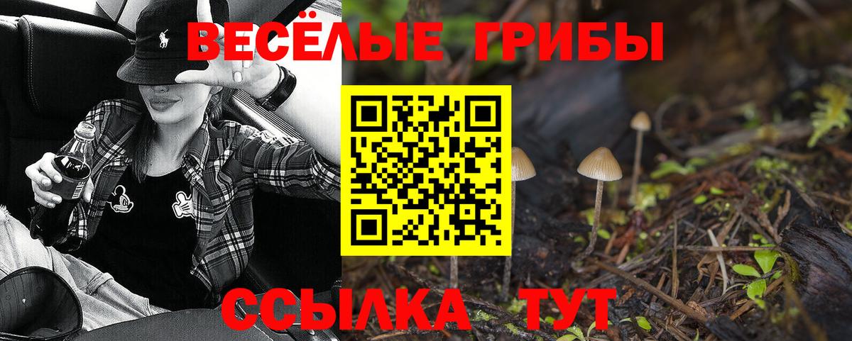 Псилоцибиновые грибы Cubensis  Галлюциногенные грибы Psilocybe  хочу   Вход с VPN  Дзержинский 